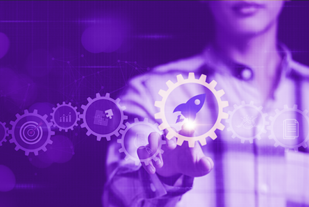 Sistemas de Gestão sob Medida